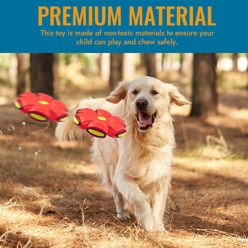 BuddyBall™ – Spiel, Spaß & Action für deinen Vierbeiner