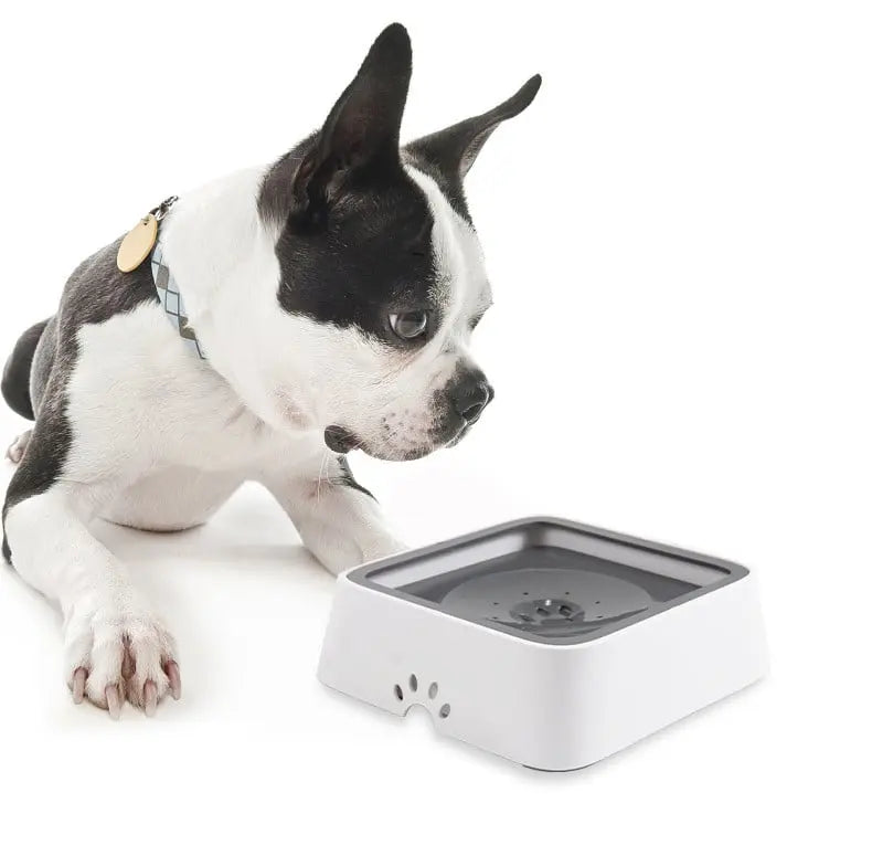 EasyPet™ Wasserspender für saubere Böden & glückliche Haustiere | 50% Rabatt